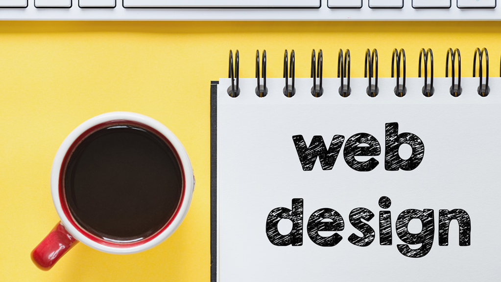 Web Designing Company in Pandesara