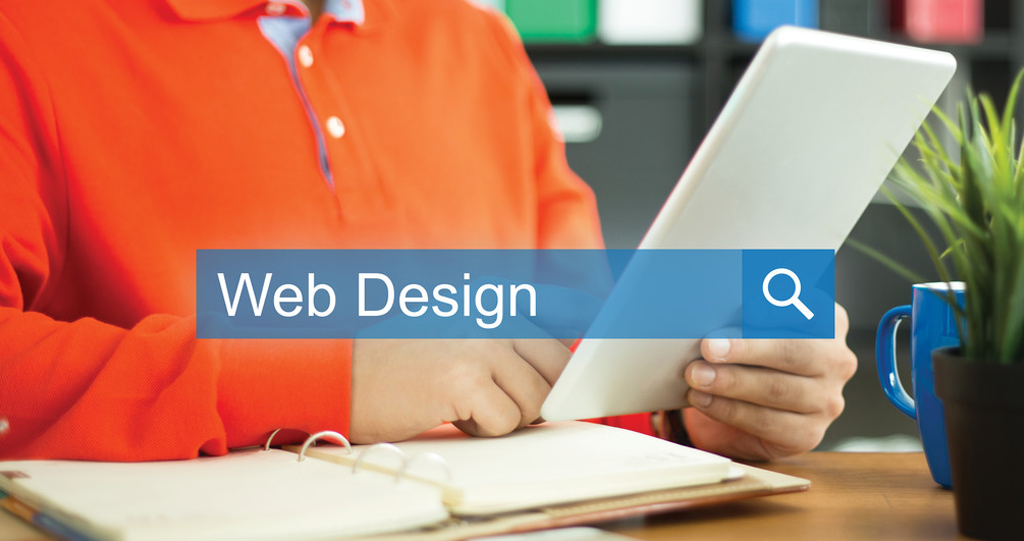 Web Designing Company in Pirana